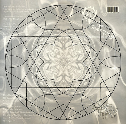 Syb Unity Nettwerk Experience* : The Space Puppy (12")