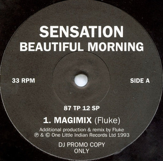 Sensation : Beautiful Morning (12", Promo)