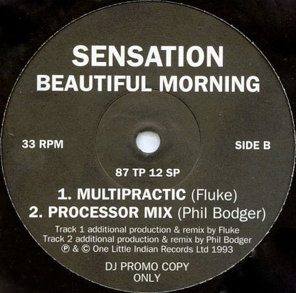 Sensation : Beautiful Morning (12", Promo)