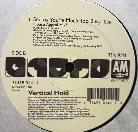 Vertical Hold : Seems You're Much Too Busy (12", Maxi)