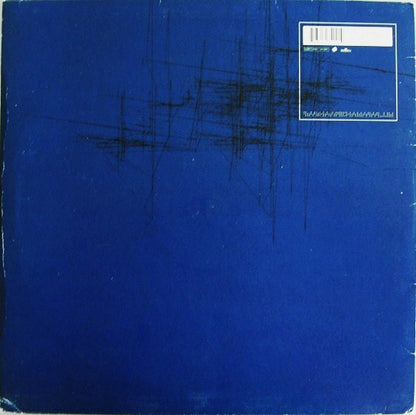 Sasha : Arkham Asylum / Ohmna (12", Single)