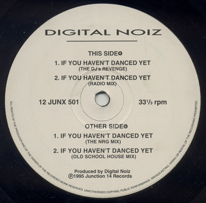 Digital Noiz : If You Haven't Danced Yet (12")
