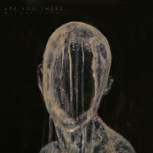 Michał Łapaj : Are You There (2xLP, Album)